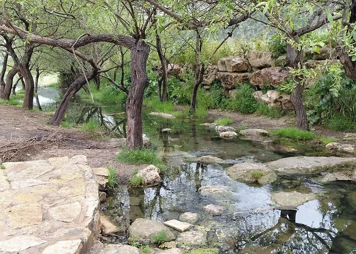 שבט אחים - חאן, קרון רכבת ודירת סטודיו - חווית אירוח כפרית